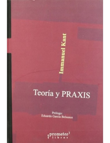 TEORÍA Y PRAXIS