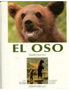 EL OSO
