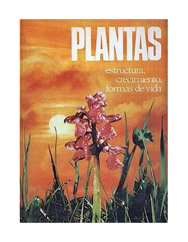 PLANTAS Estructura,crecimiento,formas...