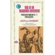 VIDA DE UN VAGABUNDO...