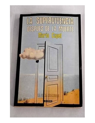 LA SUPERVIVENCIA DESPUÉS DE LA MUERTE