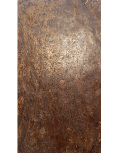 CATECISMO DE PERSEVERANCIA Tomo II