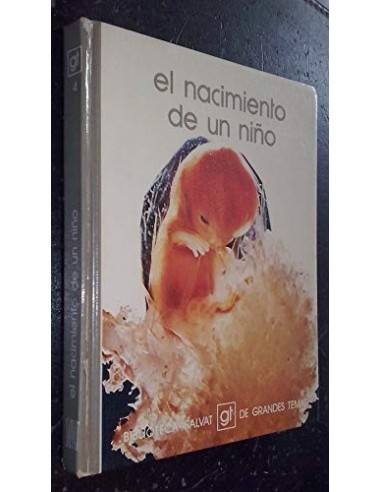 EL NACIMIENTO DE UN NIÑO