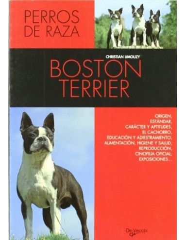 BOSTON TERRIER