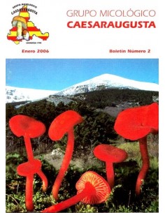 GRUPO MICOLÓGICO...