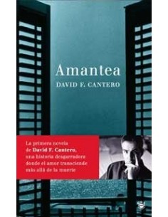 AMANTEA  1a edición