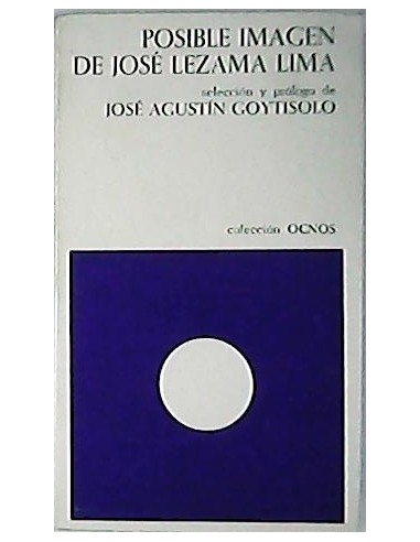 POSIBLE IMAGEN DE JOSÉ LEZAMA LIMA