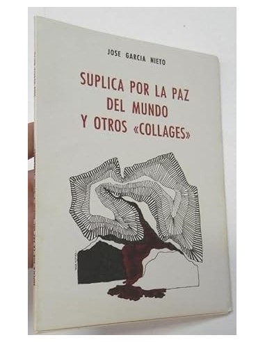 SÚPLICA POR LA PAZ DEL MUNDO Y OTROS...
