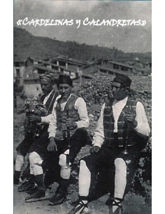 CARDELINAS Y CALANDRETAS
