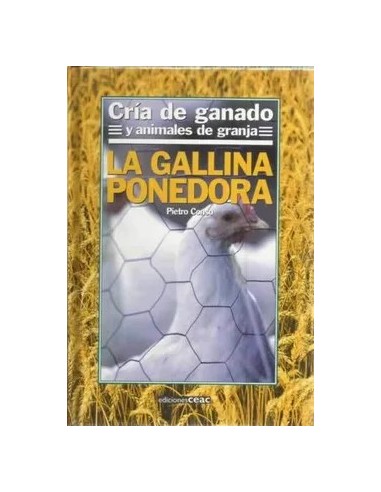 LA GALLINA PONEDORA
