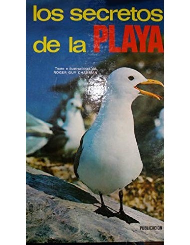 LOS SECRETOS DE LA PLAYA