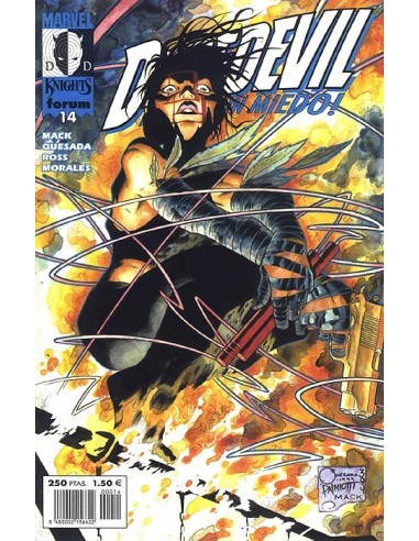 MARVEL KNIGHTS DAREDEVIL 14 FORUM