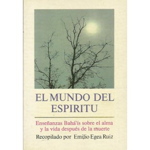 EL MUNDO DEL ESPÍRITU
