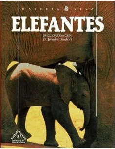 ELEFANTES