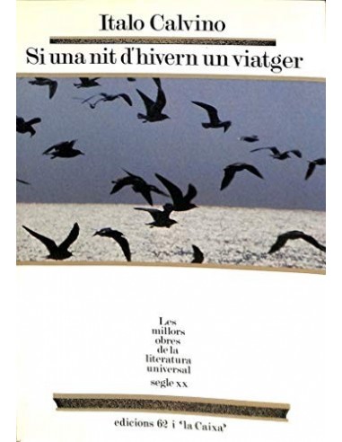 SI UNA NIT D´HIVERN UN VIATGER