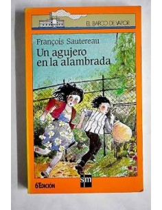 UN AGUJERO EN LA ALAMBRADA