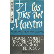 A LOS PIES DEL MAESTRO II
