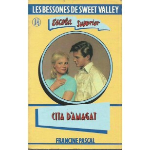 LES BESSONES DE SWEET VALLEY ESCOLA...