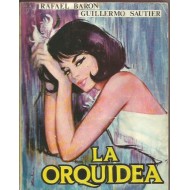 LA ORQUÍDEA