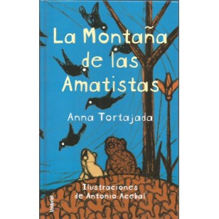 LA MONTAÑA DE LAS AMATISTAS