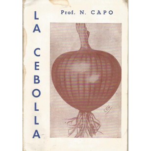 LA CEBOLLA