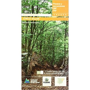 PASEOS Y EXCURSIONES CINCO VILLAS