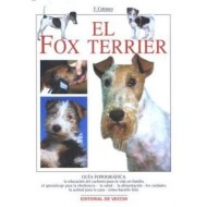 EL FOX TERRIER