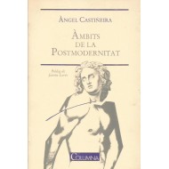 AMBITS DE LA POSTMODERNITAT