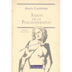 AMBITS DE LA POSTMODERNITAT