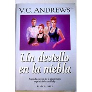 UN DESTELLO EN LA NIEBLA...