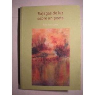 RAFAGAS DE LUZ SOBRE UN POETA