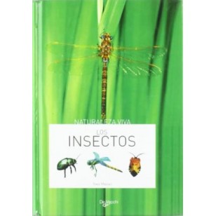 LOS INSECTOS