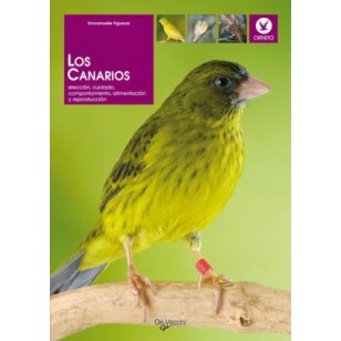 LOS CANARIOS