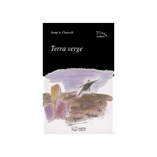 TERRA VERGE