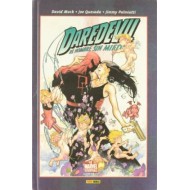 MARVEL KNIGHTS DAREDEVIL 2
