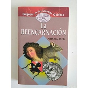 LA REENCARNACIÓN
