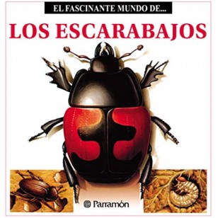 EL FASCINANTE MUNDO DE LOS ESCARABAJOS