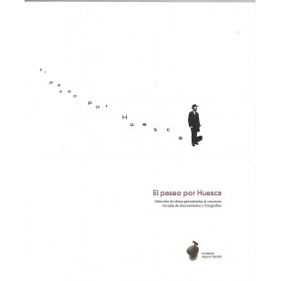 EL PASEO POR HUESCA