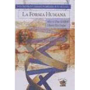 LA FORMA HUMANA
