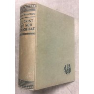 EL CRIST DE NOU CRUCIFICAT