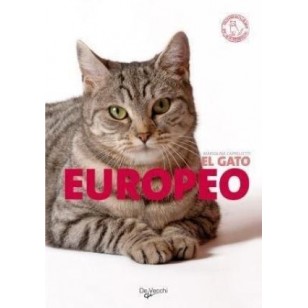 EL GATO EUROPEO