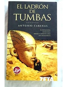 EL LADRÓN DE TUMBAS
