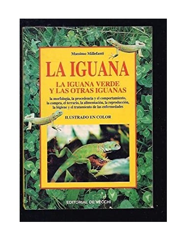 LA IGUANA La iguana verde y las otras...
