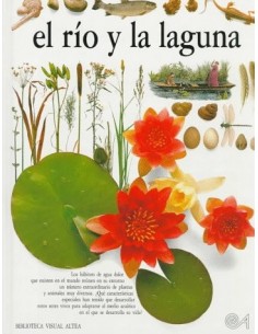 EL RÍO Y LA LAGUNA