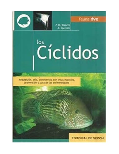 LOS CÍCLIDOS