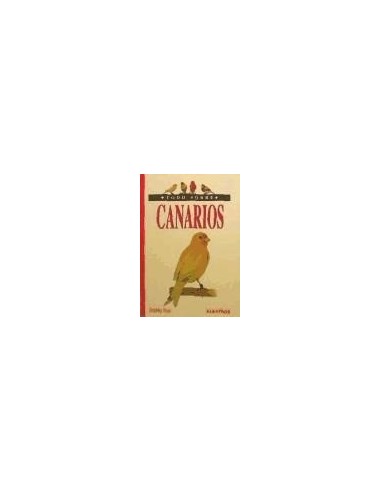 TODO SOBRE CANARIOS