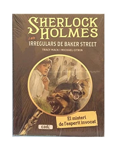 EL MISTERI DE L´ESPERIT INVOCAT