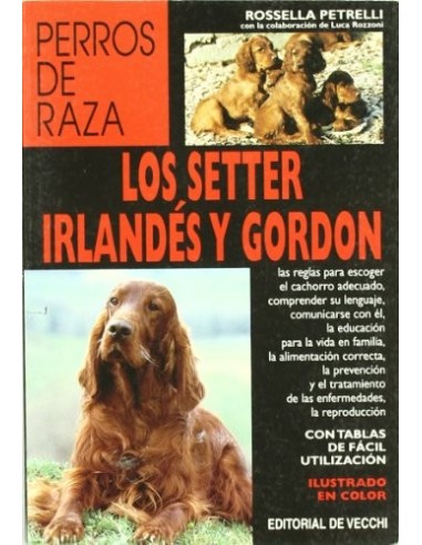 LOS SETTER IRLANDÉS Y GORDON