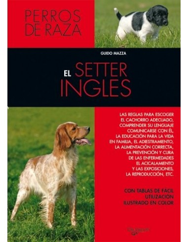 EL SETTER INGLÉS