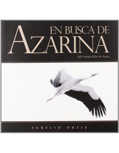 EN BUSCA DE AZARINA